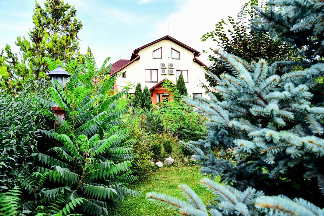 Casa Moteasca Hotel Mihai Viteazu  Екстериор снимка