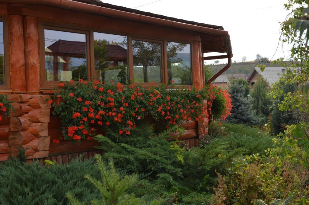 Casa Moteasca Hotel Mihai Viteazu  Екстериор снимка