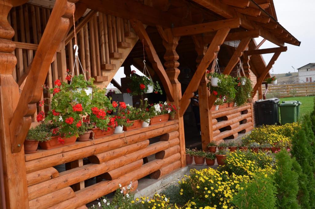 Casa Moteasca Hotel Mihai Viteazu  Екстериор снимка